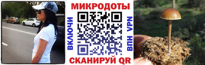 Псилоцибиновые грибы мухоморы  Углич 