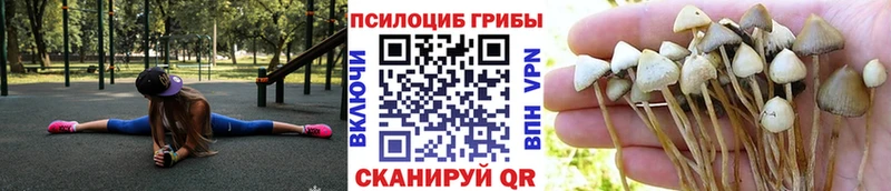 Псилоцибиновые грибы GOLDEN TEACHER Углич