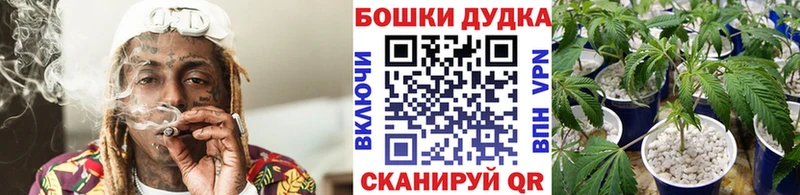 Бошки Шишки семена  цена наркотик  Углич 